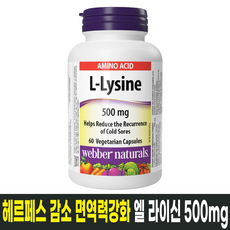 캐나다 엘 라이신 L-Lysine 500mg 60캡슐 헤르페스 감소 면역력 강화 / 캐나다 생산 / 직발송, 1개, 60정
