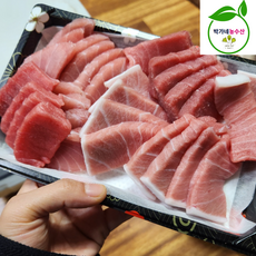 동해안 생물 참다랑어 통참치 참치회, 1개, 참치 오마카세세트 300g