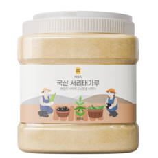 [100% 국산 서리태] 비이츠 볶은 서리태가루 검은콩 가루, 1개, 600g