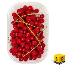 선인 냉동 레드커런트송이 125g 줄기 레드커런트 (드라이아이스 포함), 2개