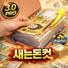 나무처럼 머니세이브 PRO 3.0 현금바인더 다이어리, 1개, 핑크