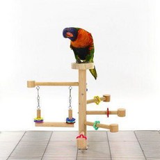 鸚鵡站架 亞克力彩色鞦韆解悶玩具, 1個, 鸚鵡鳥籠頂彩色亞克力鞦韆解悶玩具玄鳳鸚鵡