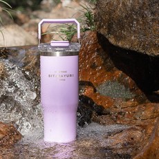 Siemzon 304 스텐 텀블러 차량용 이중 보온 빨대컵, 2개, 퍼플, 950ml