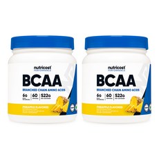 BCAA 파우더 60회분 파인애플맛 2병, 2개, 492g