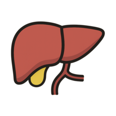 자연이 만든 종합비타민 양간 900g, 1개