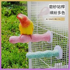 鸚鵡磨爪站架 站桿 凹凸表面設計, 1個, 小號((顏色隨機))