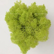 인공 녹색 식물 영원한 생명 DIY 잔디 홈 룸 미니 가짜 50g, 3)10g, yellowish green