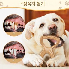 [펫하모니] 반려동물 개 소고기맛 씹는 장난감 나일론 무독성 파손안됨, 1개, 흰색