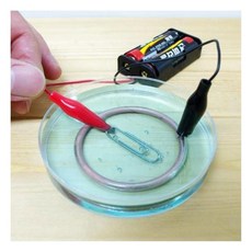 전기분해실험 구리도금 매직링 6인교구 원리이해 체험놀이 직렬병렬, 1세트