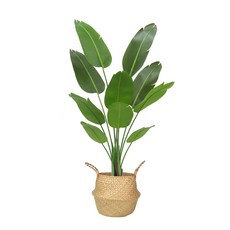 아르띠콜로 플랜테리어 극락조 조화 나무 +해초바구니세트, 160cm, 1개, 그린