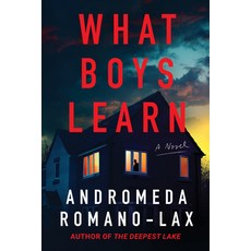 (영문도서)What Boys Learn Hardcover, Soho Crime, English, 9781641296915