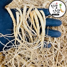 6년근 5년근 미삼 뿌리삼 인삼 삼계탕용 백숙용 풍기인삼시장 한보인삼사, 1개, 200g