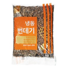 [굿챈스]냉동번데기 4kg 술안주 간식 주전부리 길거리음식 다이어트음식, 1개