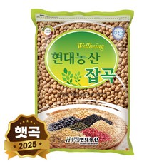 현대농산 수입 병아리콩 1kg, 1개