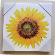 행운 인테리어 풍수지리 건강 액자 해바라기 기쁨 59000EA 1EA, 본상품