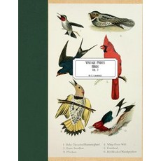 (영문도서) Vintage Prints: Birds: Vol. 7 Paperback, Createspace Independent Pub..., English, 9781727403077