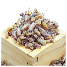 농가살리기 국내산 자연건조 통영 건꼴뚜기, 1박스, 한입건꼴뚜기 100g (마리당 2cm 이하)