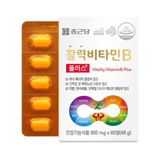종근당 정품 활력 비타민B 플러스, 60정, 2개
