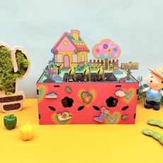 어린이집 식물 봄 체험 유치원 강낭콩 씨앗심기 공기정화식물 DIY식물