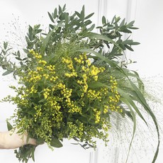 [플라워365마켓] 그린 소재 혼합 양재꽃시장 직경매 꽃배달 싼곳 생화꽃 도매, 1개