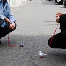 [예스24배송] 반려 비둘기 세트 애완 인형 [움직이는 쓸데없는 쓸모없는 웃긴 선물 장난감 킹받는 친구 필요없는 무쓸모 태엽], 2. 화이트 비둘기