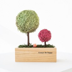 스칸디아모스 천연이끼 투게더 모스 트리, 민트, 1개