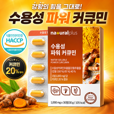 수용성 커큐민 1000mg 강황추출물 식약청xHACCP인증, 4개