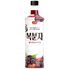 광야 늘감사 복분자 베이스 복분자감식초, 970ml, 6개