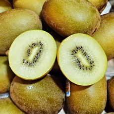 한달간 초특가 재구매율1위 16Brix 골드키위, 1박스, 2kg