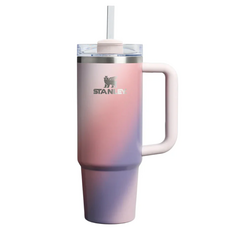 스탠리 어드벤처 시리즈 H2.0 스테인리스 진공단열 퀜처 빨대 텀블러, 1개, 887ml, 던