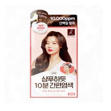 샴푸형 4회분 짙은갈색 새치커버 10분 속염 편한 홈염색 셀프터치, 1개