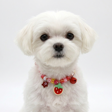 하니펫 강아지 고양이 예쁜 큐티 방울 목걸이, 1개, 딸기