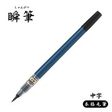 PILOT 百樂 瞬筆 速乾毛筆 SVS-70FDM 中字, 黑色