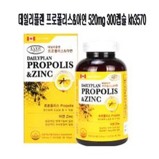 데일리플랜 프로폴리스&아연 520mg 300캡슐 kh3570, 1개, 300정