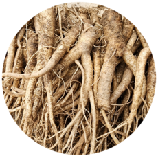 명품수랏간 국산 도라지 3년근 약도라지 세척약도라지 흙약도라지, 1박스, 3kg(흙약도라지,실속)