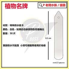 P老闆園藝 植物名牌大(9.5*1.7)/植物標籤/植物標示/一字標籤, 50片