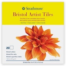 Strathmore Artist Tiles 20/Pkg-Bristol Vellum -62105970 4x4 화이트, 브리스톨, 6x6 inch