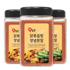 오늘은 닭볶음탕 양념분말 닭도리탕 양념 분말, 1개, 500g