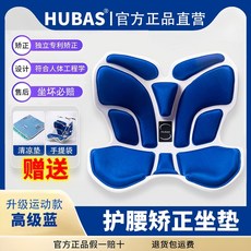 일본꽃잎 쿠션 자세 교정 허리 지지 및 방지 꼽추 없음 천골 척추 보호 앉아도 피로감 장시, 1개, L. 고급 블루 XL 추천