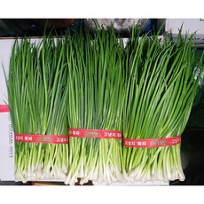 [국내산]당일 손진 깐쪽파 깐파 실파, 1kg