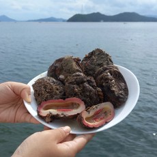 싱싱햇 통영 거제도 멍게 돌멍게 활멍게, 1세트, 1kg, 1kg(6-10미)