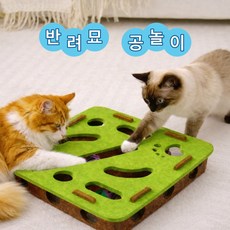 솔로몬스 고양이트랙 공놀이 장난감 공3개, 1개, 그린