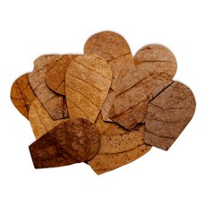 레이온버트 리프 시리즈(알몬드잎) SS, 10g, 1개