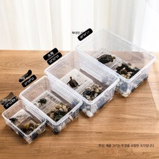 플라스틱 거북이 사육장 반수생 수조 일광욕대 포함 대형, A_미니형, 1개, 1L