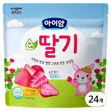 아이얌 과일칩, 12g, 24개