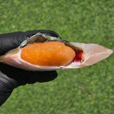 국내산 서해 프리미엄 알배기 가자미 초특대, 1개, 1미 250g~300g 내외