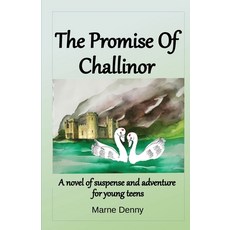 (영문도서)The Promise Of Challinor Paperback, Artois Books, English, 9781777600136