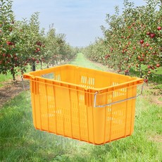 쇼픽온 운반바구니 대 손잡이O, 1개