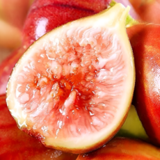 [올해한정물량] 농가직송 쫀득달콤 해달과 무화과, 1개, 2kg