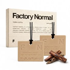 팩토리노멀 차량용방향제 테라코타 디퓨저 자동차 룸미러 선물 2개, 1세트, 호텔 로비